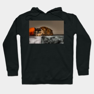 Cat Hoodie